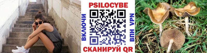 купить наркотики цена  мега рабочий сайт  Псилоцибиновые грибы Magic Shrooms  Отрадная 